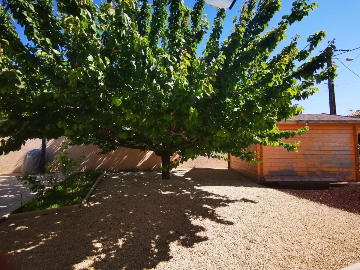 joli appartement indépendant avec piscine chauffée chez propriétaire Bernis Extérieur photo
