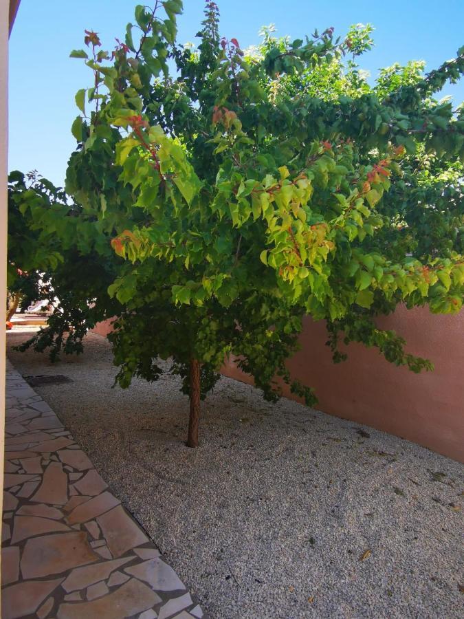 joli appartement indépendant avec piscine chauffée chez propriétaire Bernis Extérieur photo